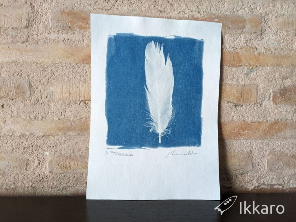 Cyanotype and photography