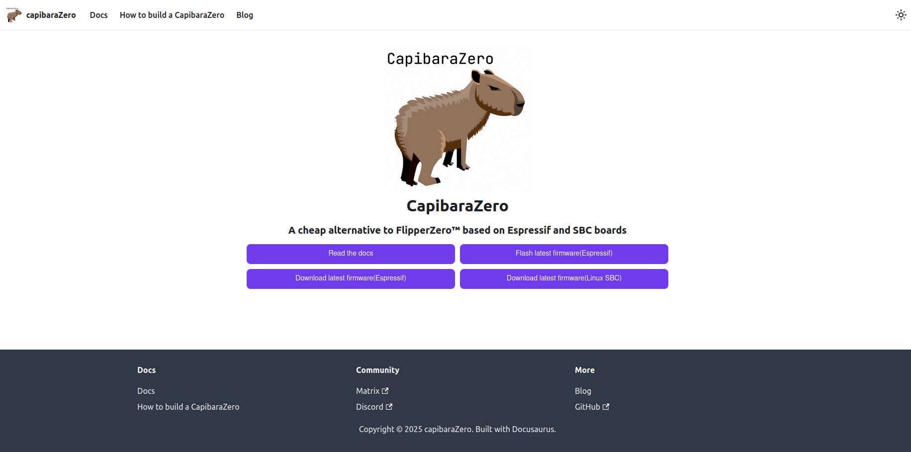 what is CapibaraZero